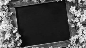 websites 4 therapists
