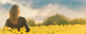websites for therapists